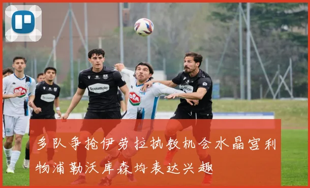 多队争抢伊劳拉执教机会水晶宫利物浦勒沃库森均表达兴趣